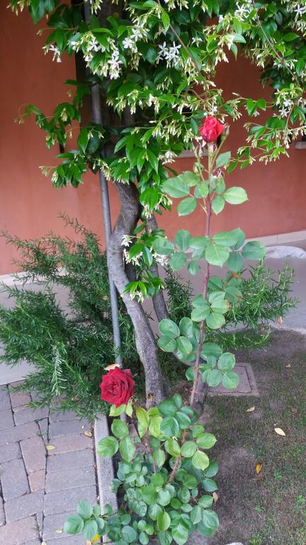 Dreon B&B Portogruaro Bagian luar foto